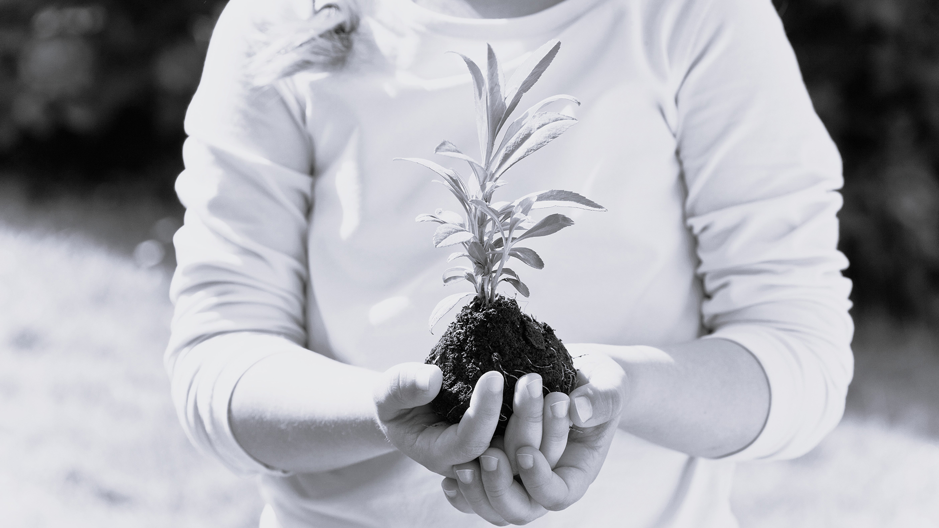 La energía bajo tus pies: climatización geotérmica para un hogar sostenible