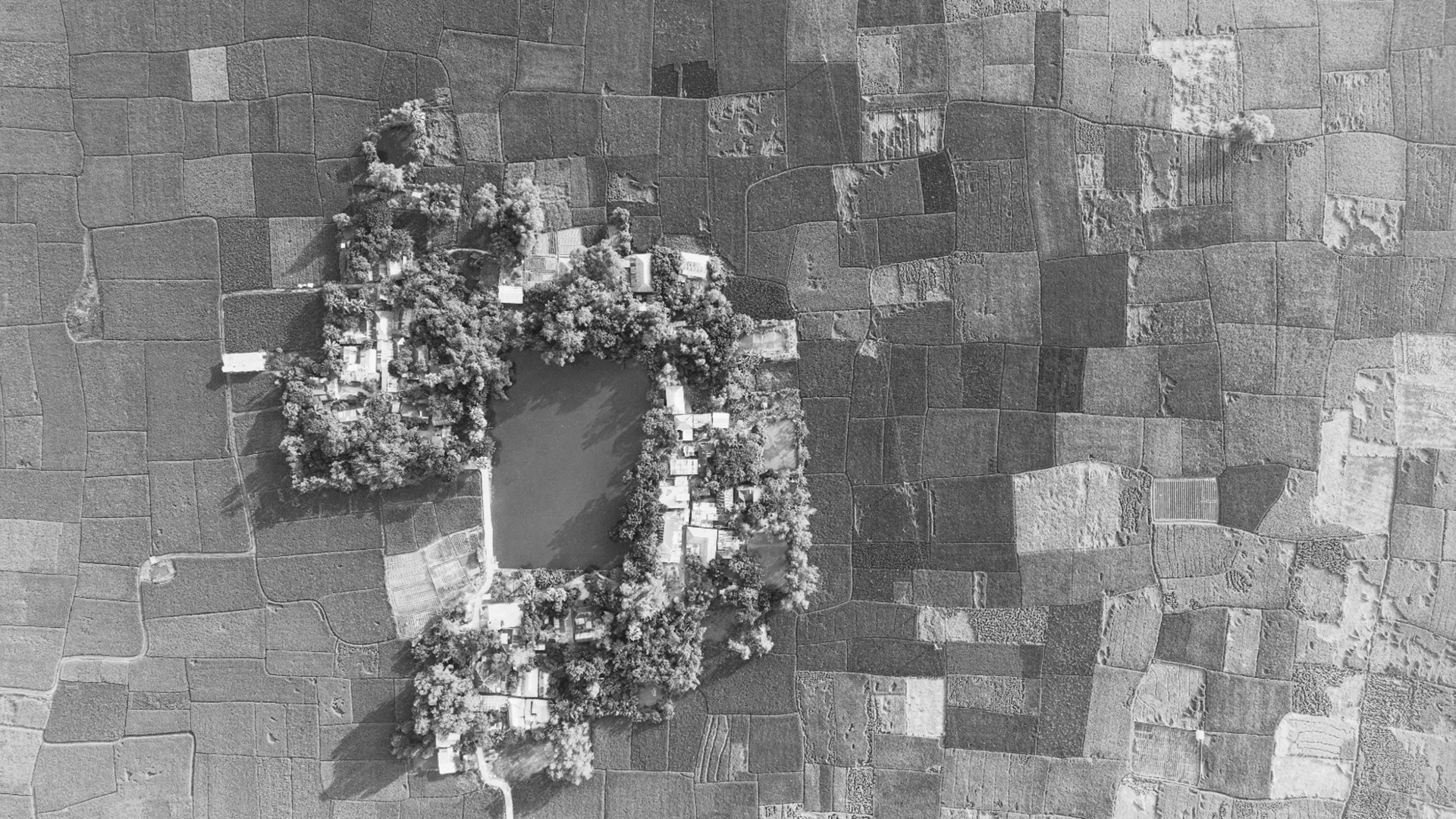 Transición energética en zonas rurales: soluciones modulares para viviendas dispersas