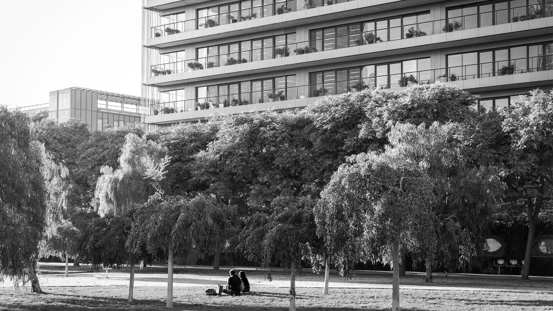 La transición energética empieza en casa: qué papel juegan los hogares en la reducción de emisiones
